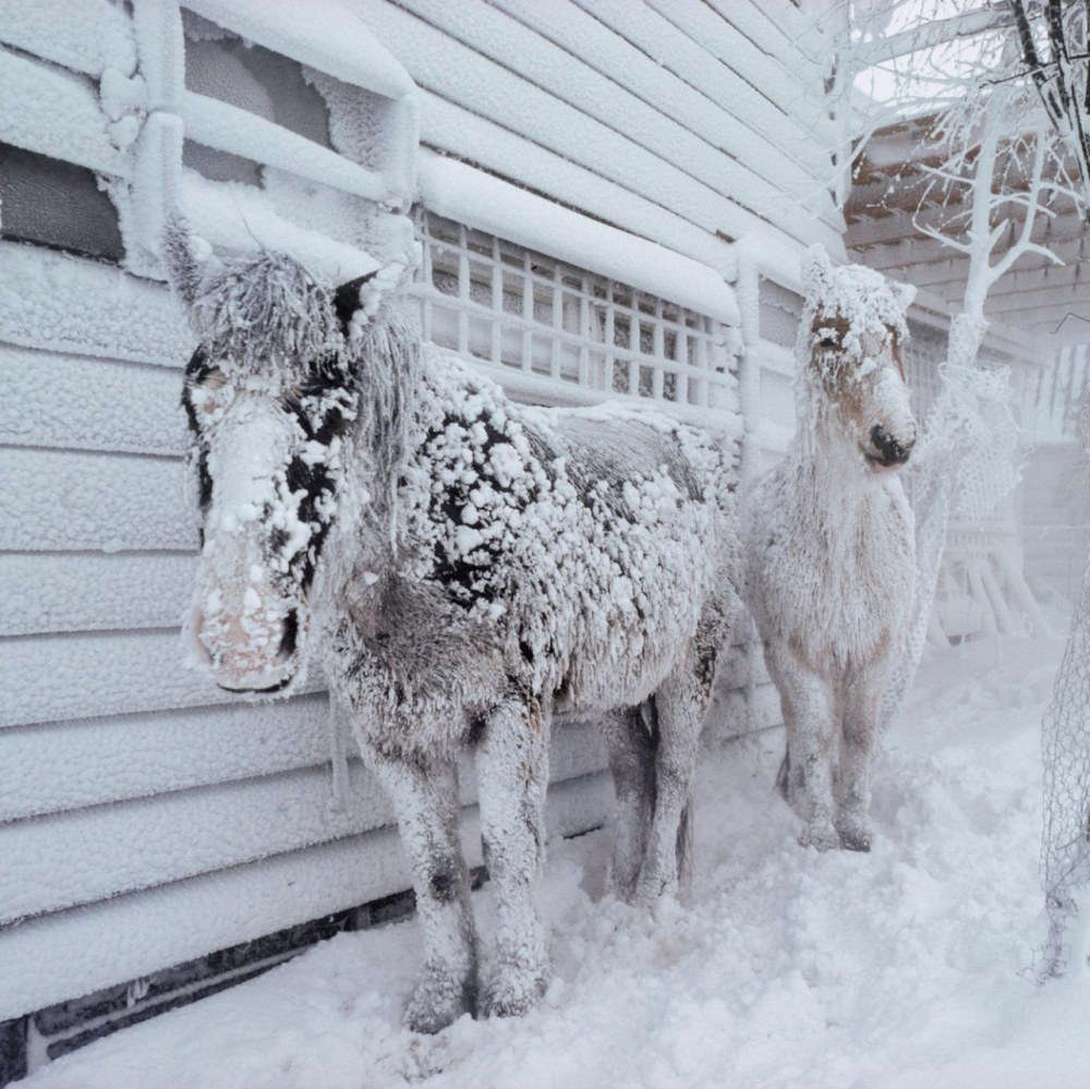 Ed van der Elsken. Avonturen op het land